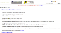 Desktop Screenshot of parone.com